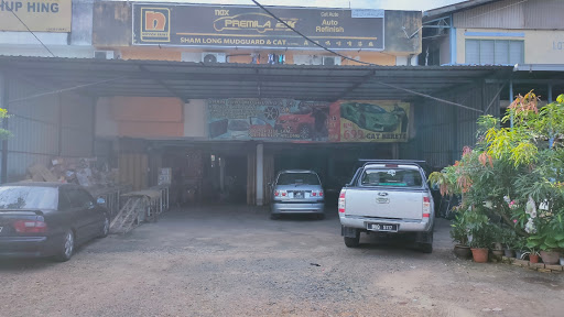 Sham Loong Mudguard and Cat