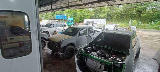 Chameleon Autospray