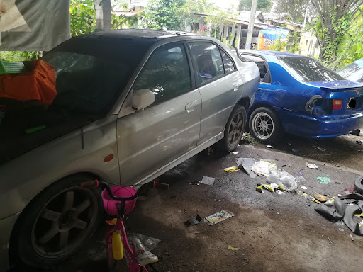Shah Ketuk Body & Cat Paloh