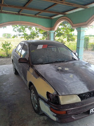 MS Autospray