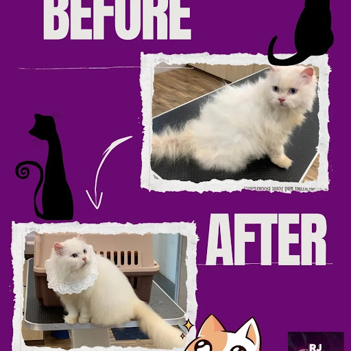 RJ CATS Motel & Spa (Batu Pahat)
