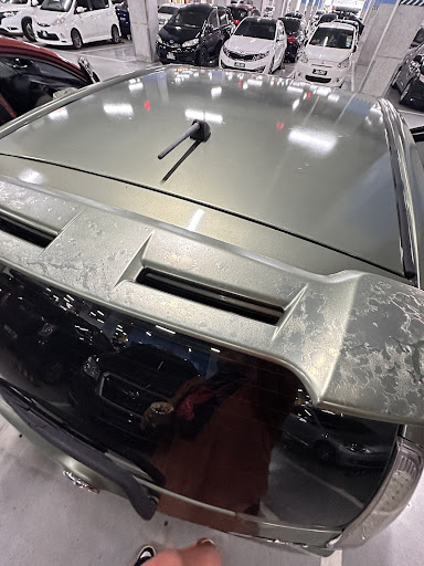MaxWork Car Paint